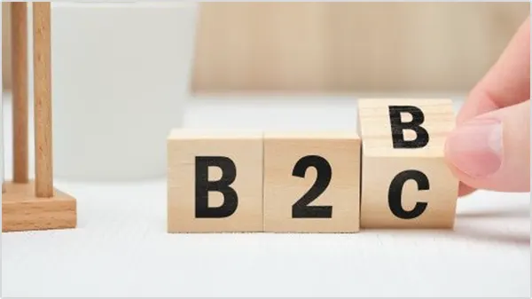 B2B vs. B2C SaaS