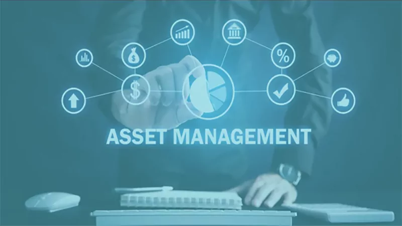 d-Asset Management Software