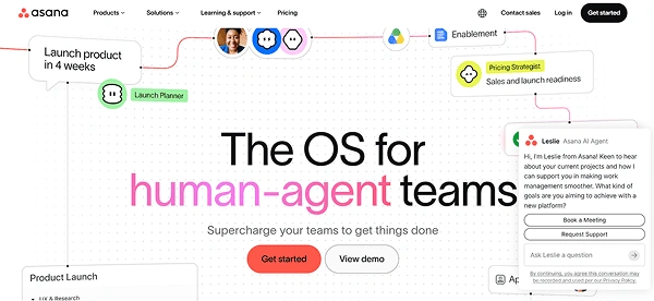 Asana Website Screenshot