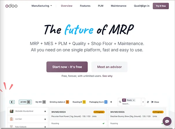 Odoo website interface