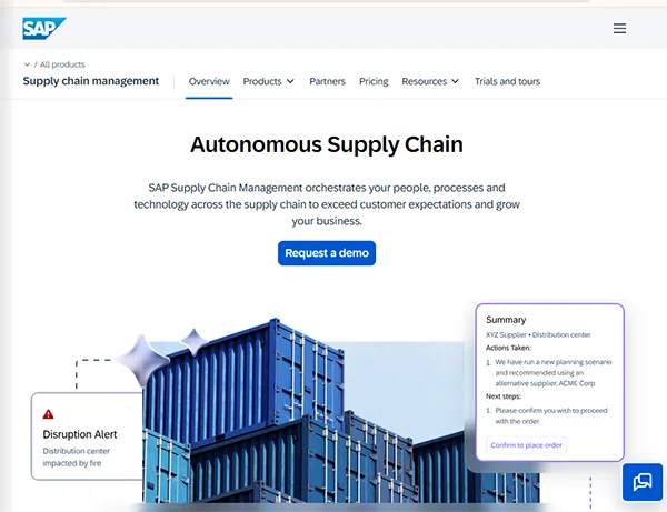 interface of SAP SCM software
